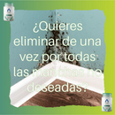 gid://shopify/MediaImage/25388449005686